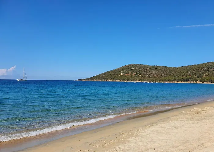 T2 Bord De Appartement